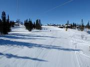 Gemakkelijke piste Vesleseterbakken