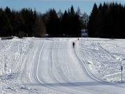 Loipe in het langlaufcentrum Viote