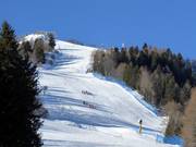 Zwarte piste Zoncolan 1