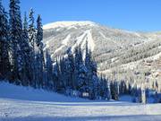 Uitzicht vanaf Mt. Morrisey naar Top of the World