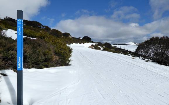 Langlaufen Australische Alpen – Langlaufen Falls Creek