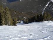 Brede en steile bosafdaling