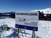 Tip voor de kleintjes 