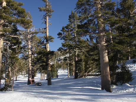 Skigebieden voor gevorderden en off-piste skiërs Sierra Nevada (VS) – Gevorderden, off-piste skiërs Heavenly