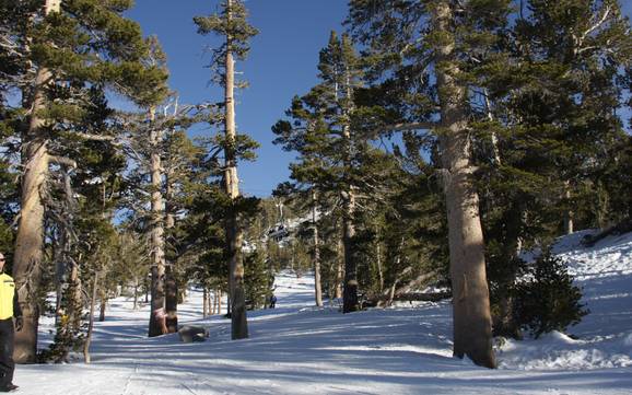 Skigebieden voor gevorderden en off-piste skiërs Carson Range – Gevorderden, off-piste skiërs Heavenly