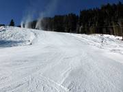 Moeilijke dalafdaling Heimalm-Rauris