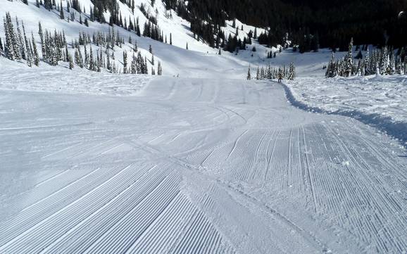 Pistepreparatie Lizard Range – Pistepreparatie Fernie