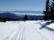 Langlaufloipe op de Hochrindl