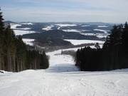 Brede bosbaan-afdaling