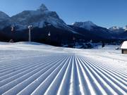 Vers vers geprepareerde familieafdaling