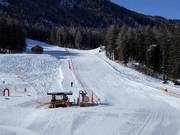 Oefenweide Taxermoos