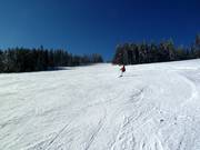 Middelzware afdaling bij de Kleinen Almberglift
