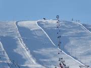 Piste Maaliman Cup (Nr. 25)