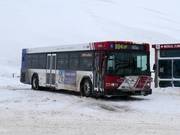 UTA Skibus