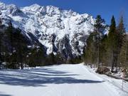 Dalafdaling Heimfahrtspiste