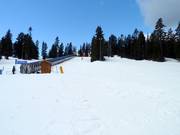 Goldie Meadows Learning Area met transportband