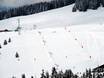 Skigebieden voor beginners in de Auvergne-Rhône-Alpes – Beginners Espace Diamant – Les Saisies/Notre-Dame-de-Bellecombe/Praz sur Arly/Flumet/Crest-Voland
