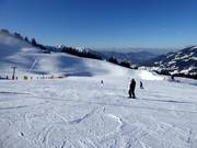 Gemakkelijke piste bij de Wallerlift Monte Gogo