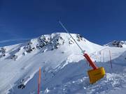 Lansbesneeuwing op de Gemsstock