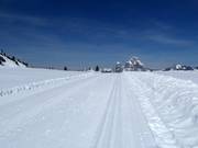 Langlaufloipe op de Stoos met uitzicht op de Mythen