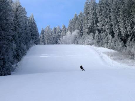 Skigebieden voor gevorderden en off-piste skiërs Tsjechië – Gevorderden, off-piste skiërs Lipno