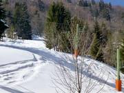 Köpflelift - Pannenkoeklift