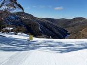 Moeilijke piste Black Snake