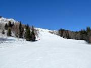 Piste Marmottes (La Rosière)