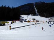 Tip voor de kleintjes 