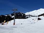 Möseralmafdaling (Fiss)