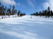 Gemakkelijke piste 8.4