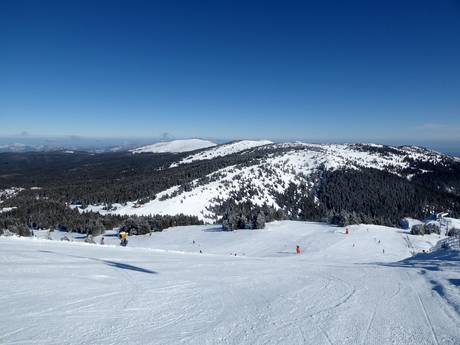 Dinarische Alpen: Grootte van de skigebieden – Grootte Kopaonik