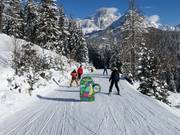 filZOO avonturenroute