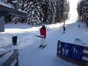 Bärenbadlift - Sleeplift met T-beugel/Ankerlift