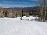 Afdaling Lover’s Lane