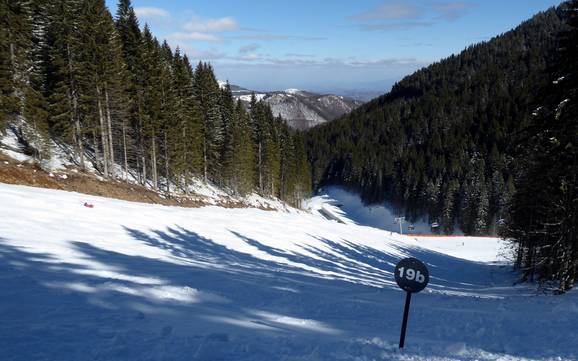 Skigebieden voor gevorderden en off-piste skiërs Zuid-Servië – Gevorderden, off-piste skiërs Kopaonik