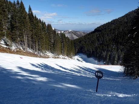 Skigebieden voor gevorderden en off-piste skiërs Dinarische Alpen – Gevorderden, off-piste skiërs Kopaonik