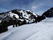 Uitzicht vanaf Oeschseite op de Rinderberg