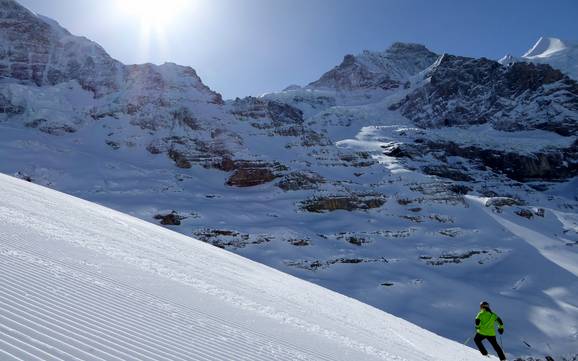 Beste skigebied in de Jungfrau-regio – Beoordeling Kleine Scheidegg/Männlichen – Grindelwald/Wengen Beste skigebied in de Jungfrau-regio – Beoordeling Kleine Scheidegg/Männlichen – Grindelwald/Wengen