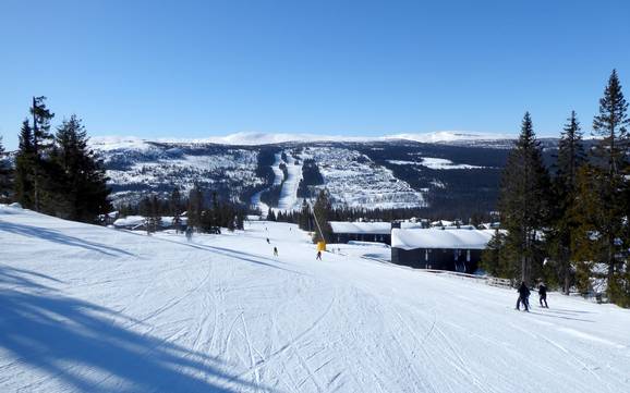 Skiën in Kvitfjell Vest