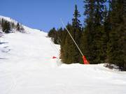 Uitgebreide besneeuwing