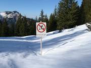 Bescherming van het bos