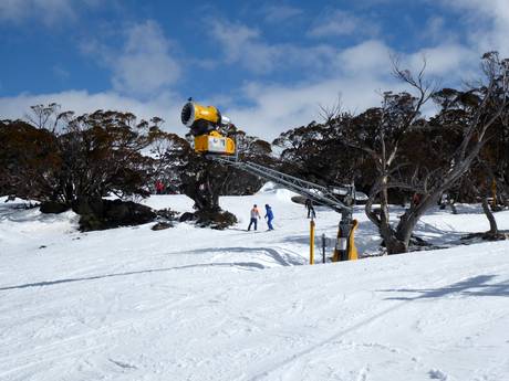 Sneeuwzekerheid Snowy Mountains – Sneeuwzekerheid Perisher