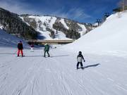 Gemakkelijke piste Trainer