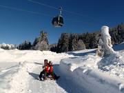 Tip voor de kleintjes  - Rodelbaan Hochnössler / Bifei's Hütt'n (Altenmarkt)