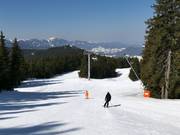 Skigebied Pamporovo