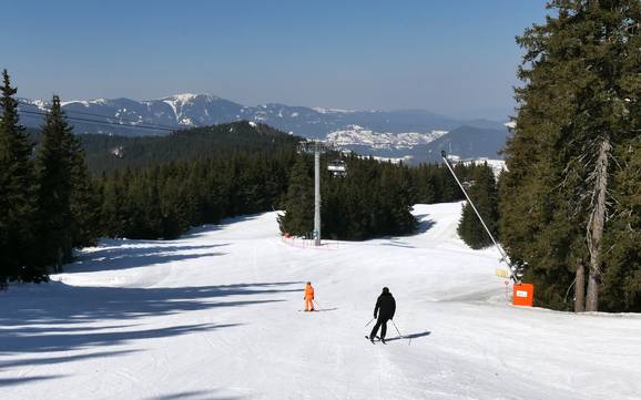 Beste skigebied in de oblast Smoljan – Beoordeling Pamporovo