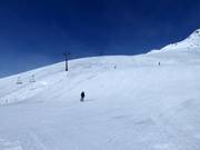 Brede piste nr. 3 Wilder Mann