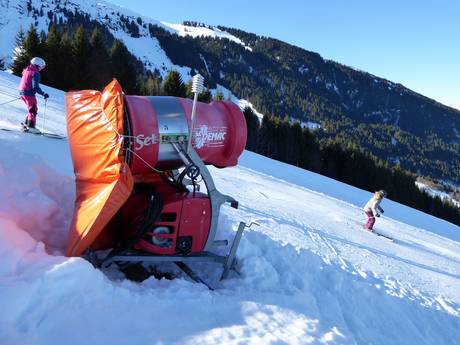 Sneeuwzekerheid Alpenrheintal – Sneeuwzekerheid Pizol – Bad Ragaz/Wangs