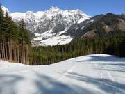 Steinbergriedel nr. 11